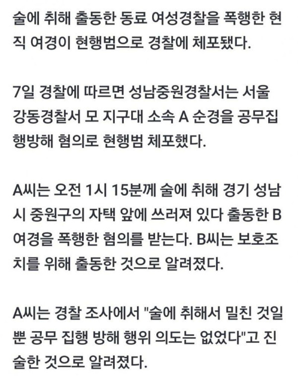 술 취해 동료 여경 때린 여경…공무집행방해 현행범 체포