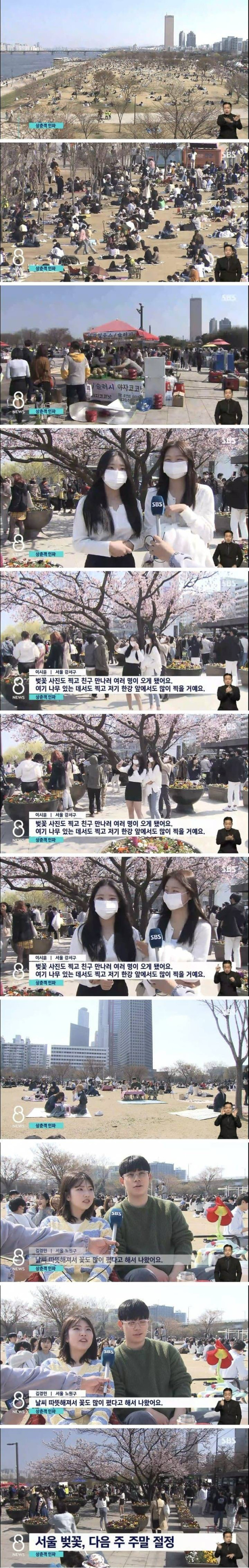 벚꽃을 즐기는 인파